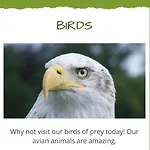 Skiddaw Lodges- The District Camping Plumbland