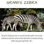 Skiddaw Lodges- The District