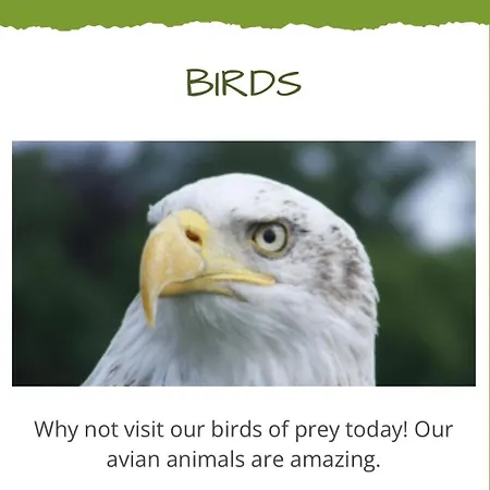 Skiddaw Lodges- The District Camping Plumbland