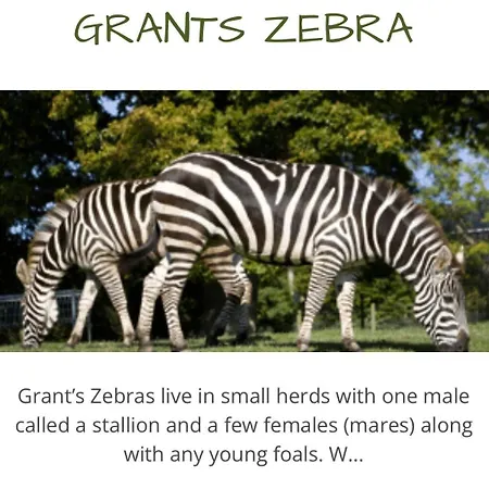 Skiddaw Lodges- The District